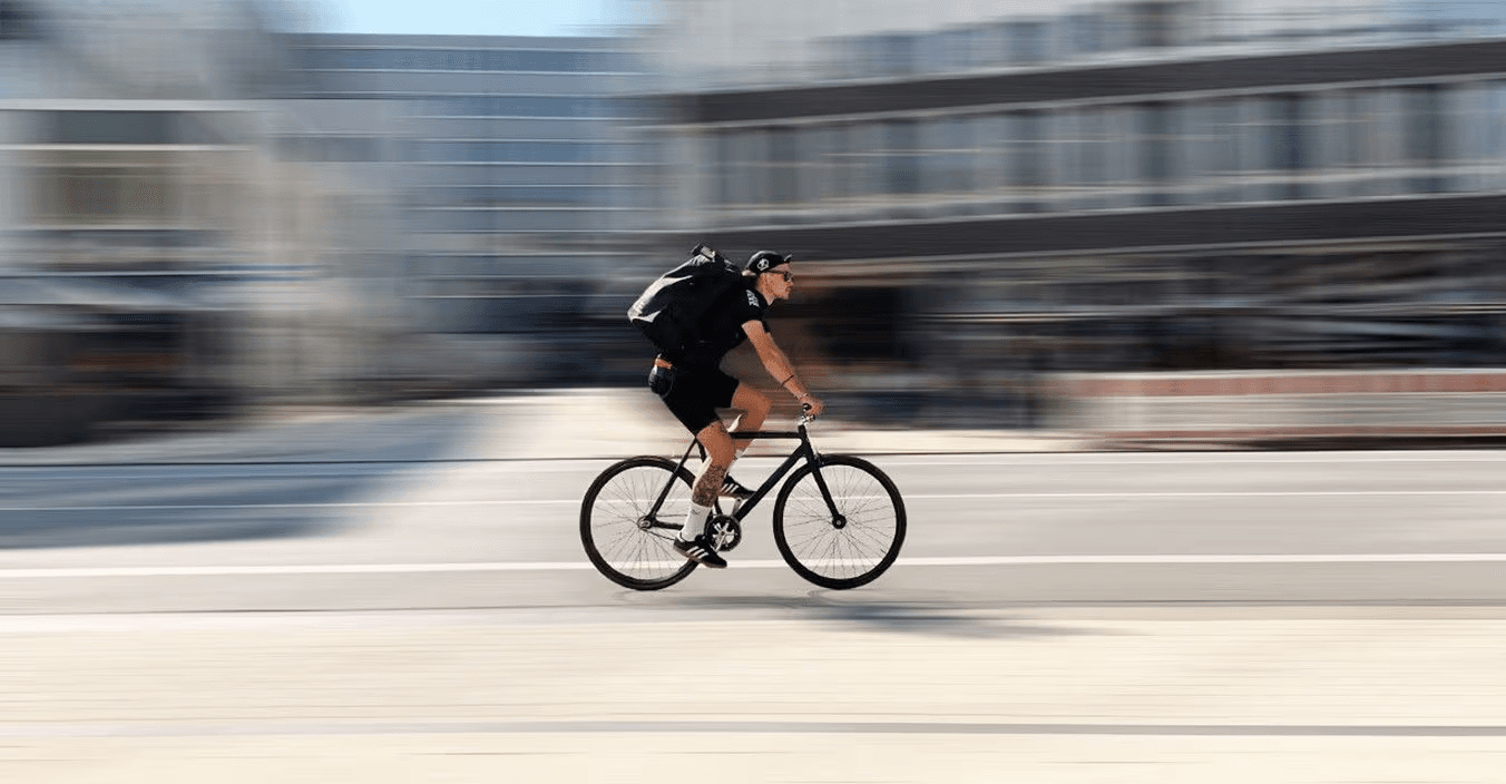 STADTSALAT – Einblick ins Projekt